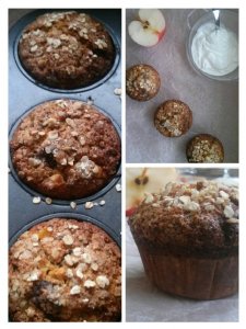 12921881_1238658372828775_25339797_o